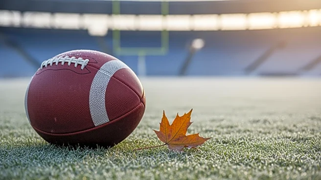 Edgerrin Cooper's Injury Alters Outcome in Packers' Playoff Loss to Bears