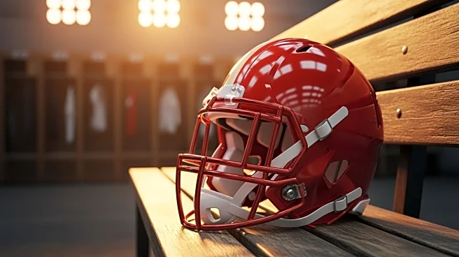 San Francisco 49ers Overcome Injuries to Upset Philadelphia Eagles in NFL Playoffs