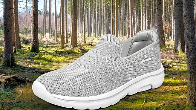 Versatile Indoor-Outdoor Slippers Gain Popularity for Comfort and Style