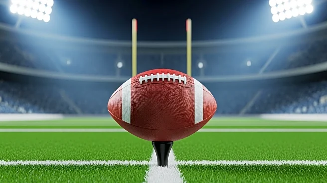 Steelers to Host Texans in NFL Wild Card Game Following Ravens' Missed Field Goal