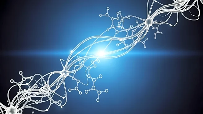 SciNeuro and Novartis Collaborate on Alzheimer's Therapeutics with Global Licensing Agreement