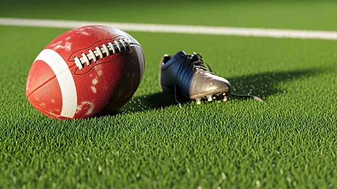 Steelers' Cameron Heyward Suffers Ankle Injury in Wild-Card Game Against Texans