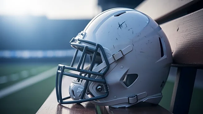 Texans' Nico Collins Suffers Concussion in Wild-Card Victory Over Steelers