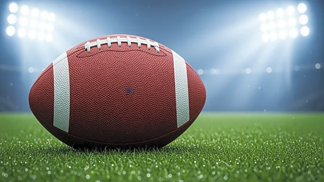 Houston Texans' Jayden Higgins Faces Slow Start in Wild-Card Game Against Steelers