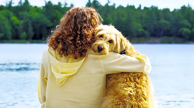 Pet's Cancer Battle Highlights Importance of Pet Insurance for Owners