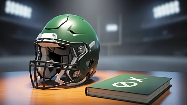 Philadelphia Eagles Fan Criticizes Offensive Coordinator After Playoff Loss