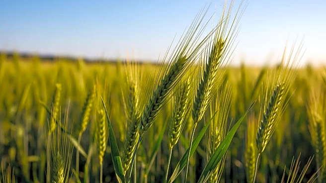 MarketBeat Highlights Top Agriculture Stocks: Deere, Cal-Maine, and Valmont