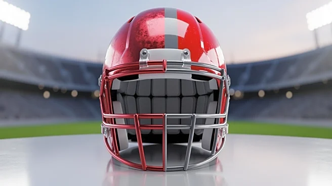 Former Georgia Bulldogs Defensive Back Dominick Kelly Joins Ohio State Buckeyes