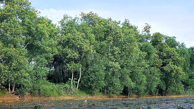 Severson Dells Celebrates 50 Years with Community Open House