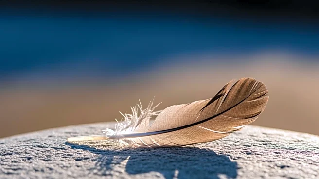 Lifehacker Debunks Viral Rumor of Gravity Ceasing on August 12