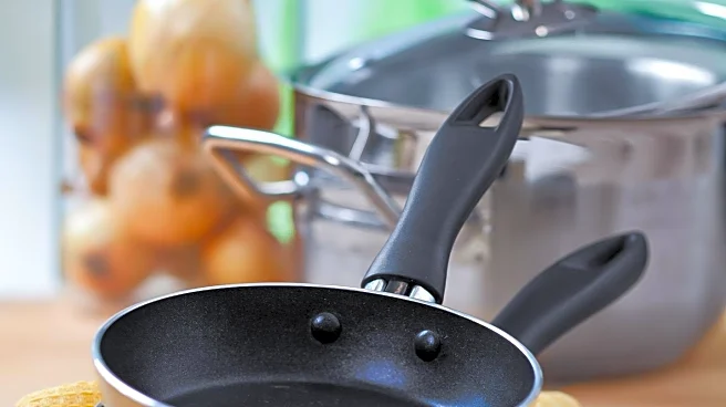 Consumer Reports Advises on Safer Alternatives to Nonstick Pans
