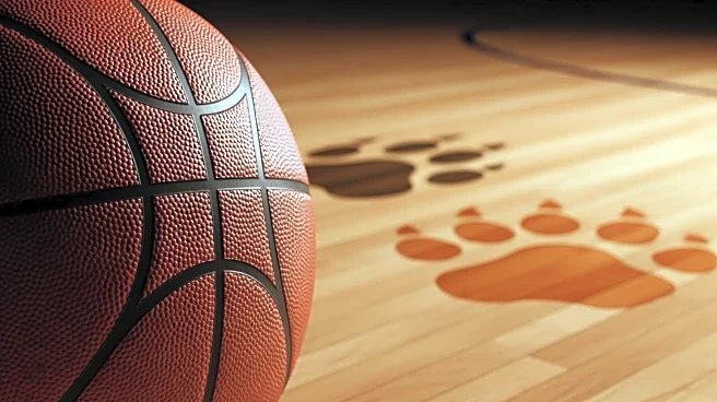 Southern Jaguars to Face Grambling Tigers in SWAC Basketball Clash