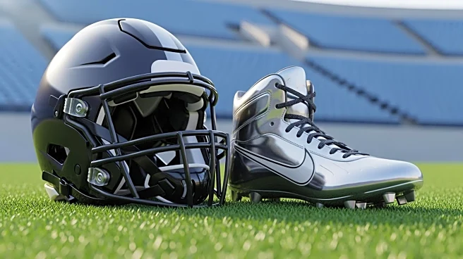 NFL.com Ranks Carolina Panthers' Running Backs in Top 30, Highlighting Team's Offensive Potential