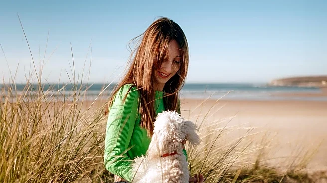 Study Reveals Dogs Can Sense Owners' Thoughts, Enhancing Human-Canine Bond