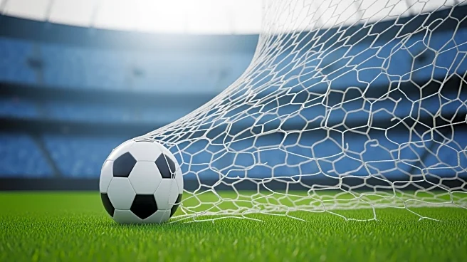 Nick Woltemade Faces Challenges Filling Alexander Isak's Role at Newcastle