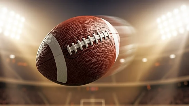 Caleb Williams' Stunning Touchdown Pass Captivates NFL Fans in Playoff Thriller