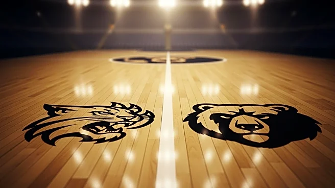 New Hampshire Wildcats Face Maine Black Bears in America East Matchup