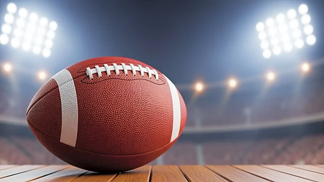 Patriots Defeat Texans 28-16 to Advance to AFC Championship Game