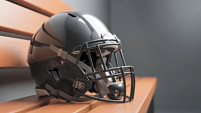 Chicago Bears' Colston Loveland Evaluated for Concussion in Divisional Round Game