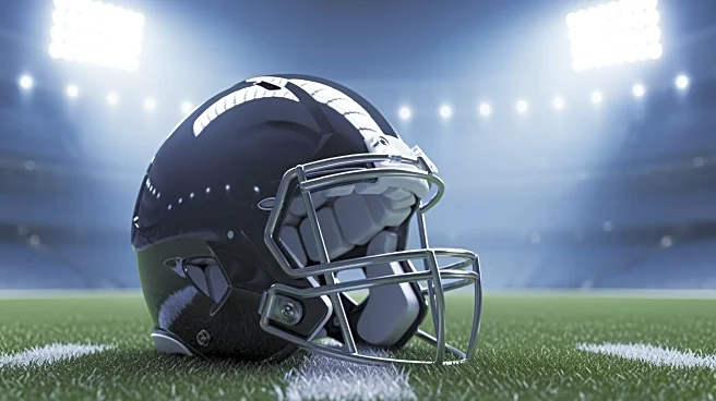 DJ Moore Returns to Game After Injury Scare in Bears' Divisional Round