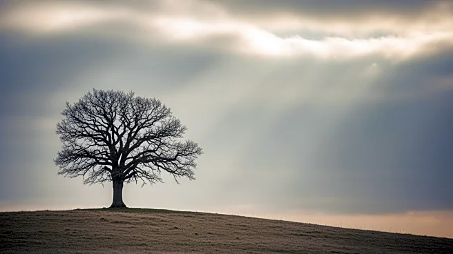 Rachel Eliza Griffiths Reflects on Personal Loss and Resilience in New Memoir