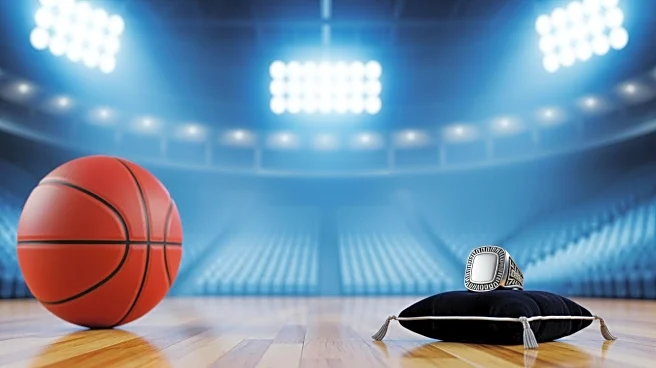 Megan Thee Stallion and Klay Thompson Share Moment After Mavericks' Victory