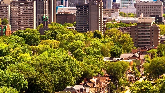 Yonge North York Launches Digital Platform and Foodie Tours to Boost Local Tourism