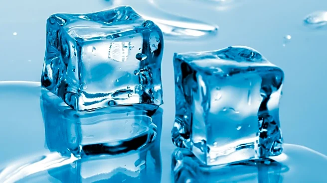 Cold Plunges: Evaluating the Science and Risks of a Popular Wellness Trend