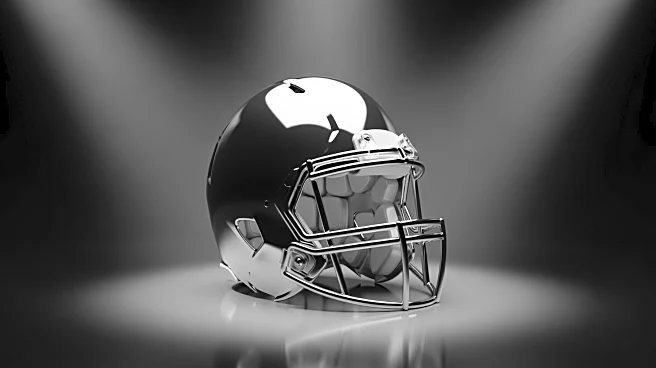 Mel Kiper Jr. Predicts Fernando Mendoza as Top NFL Draft Pick