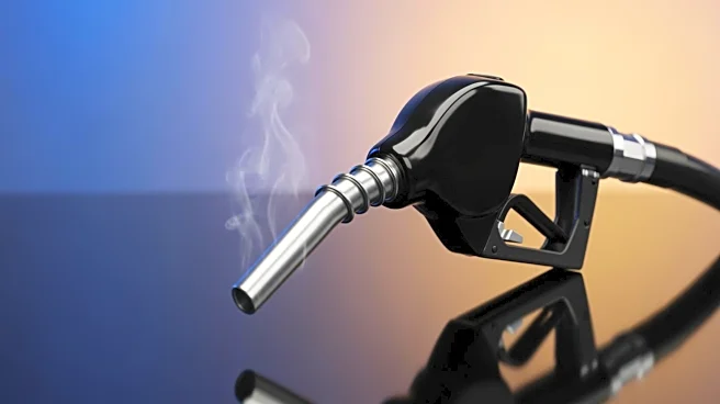 National Diesel Prices Rise After Eight Weeks of Decline, Reports EIA