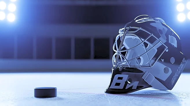 Lukas Dostal's Stellar Performance Secures Ducks' Shootout Win Over Avalanche