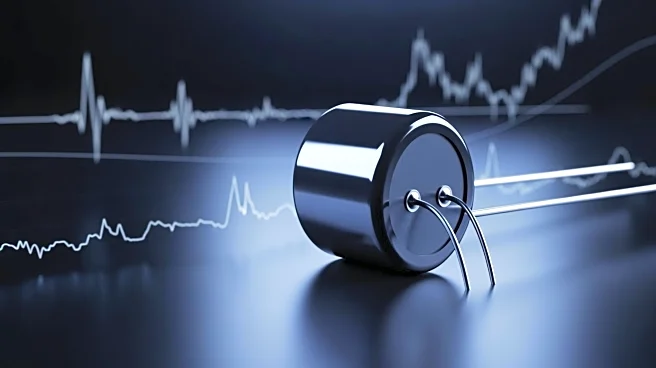 Murata Manufacturing Shares Decline Amid Market Volatility