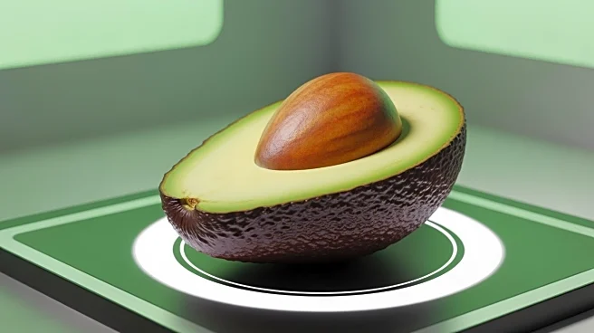 Bilka Implements Avocado Ripeness Scanners Nationwide to Enhance Customer Experience