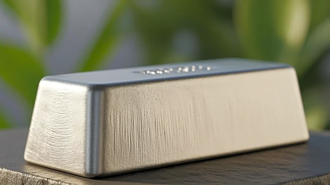 Westwin Elements Proposes First U.S. Nickel Refinery in Georgia Amid Environmental Concerns