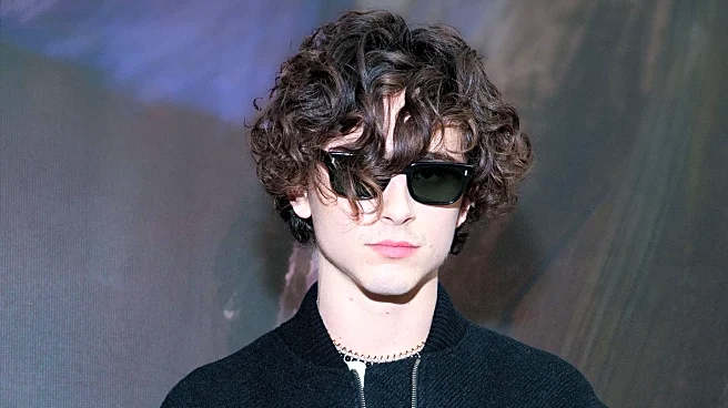 Cosmetic Surgeon Apologizes to Troye Sivan for Unsolicited Appearance Critique