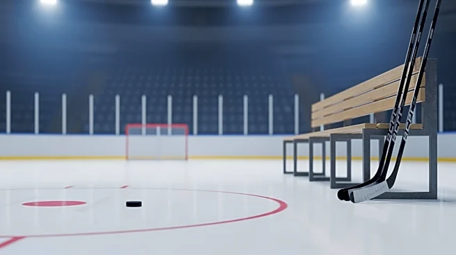 Isaiah George Makes Season Debut for New York Islanders Amidst Team Injuries