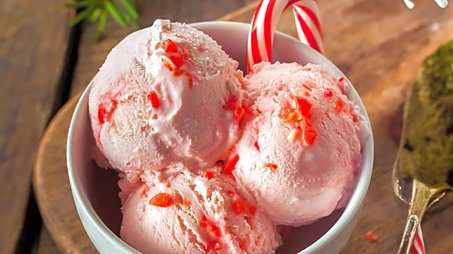 T.W. Bonkers Toy  Candy Emporium Revives Thrifty Ice Cream in Placerville