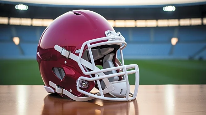 Tampa Bay Buccaneers' Mike Evans Predicted to Join Buffalo Bills Amid Free Agency