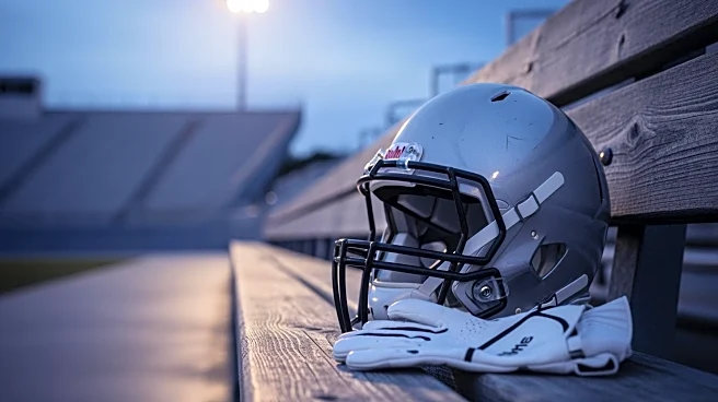 Vikings Consider Drafting Safety Emmanuel McNeil-Warren to Replace Harrison Smith