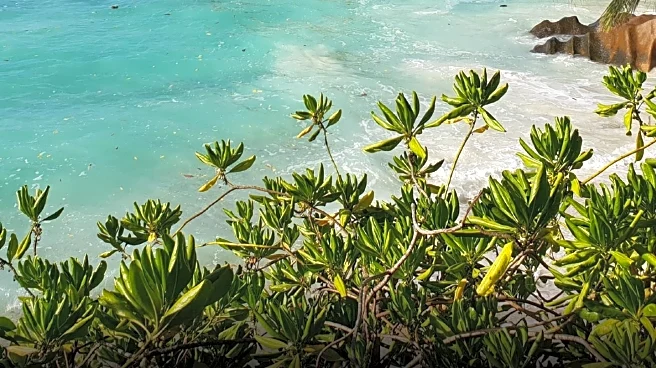 Four Seasons Resort Seychelles Unveils New Five-Bedroom Royal Villa for Luxury Travelers