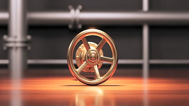 Holiday Oil Names James Peterson as New President Amid Leadership Changes