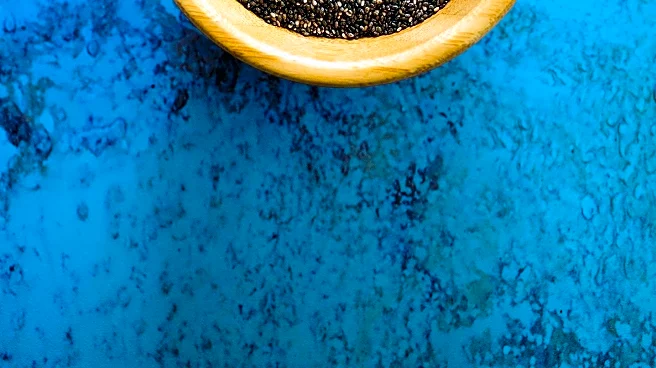 New Study Reveals Chia Seeds' Impact on Satiety and Brain Health