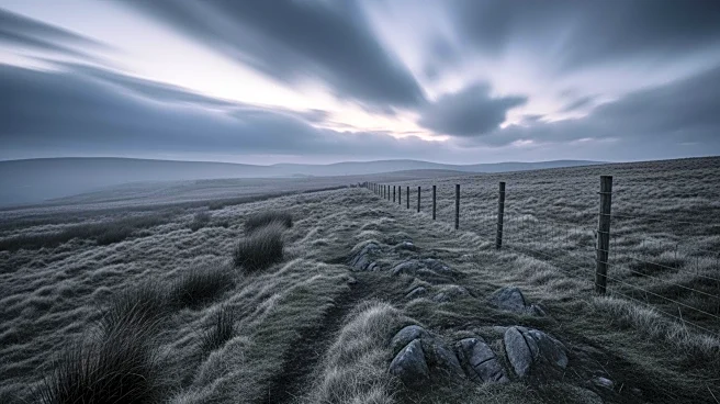 First Reactions to 'Wuthering Heights' Film Starring Margot Robbie and Jacob Elordi