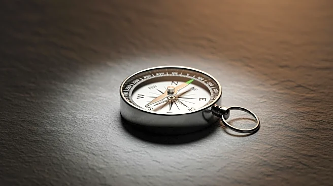 RBC Capital Markets Leads M Financial Advisory in Metals and Mining for 2025