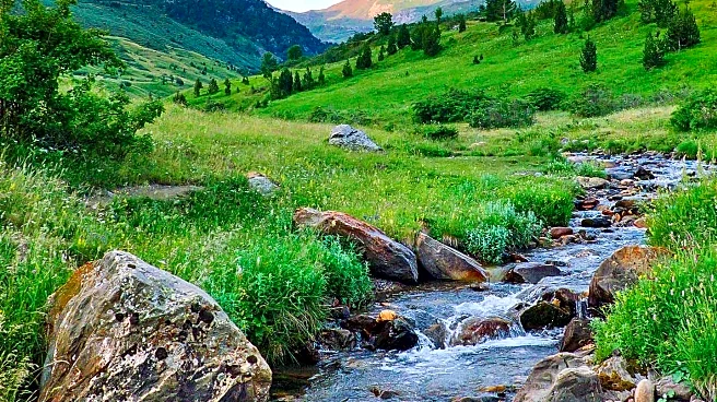 Roaring Fork Outdoor Volunteers Launches Youth in Nature Program for High School Students