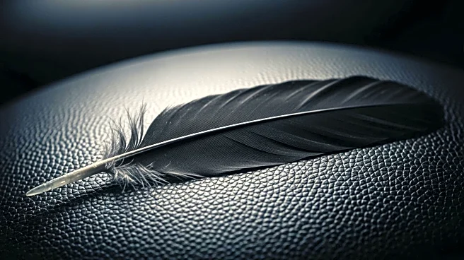 Baltimore Ravens Eye Defensive Talent in 2026 NFL Mock Draft