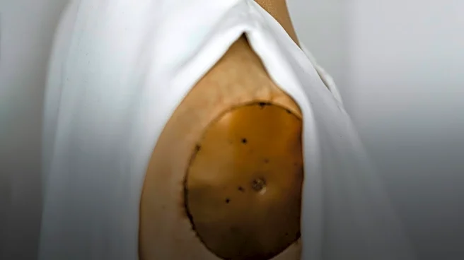 Pieter Mulier Steps Down as Creative Director of Alaïa