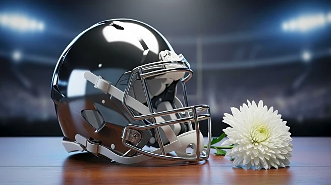 Patriots' Defensive Coordinator Terrell Williams Returns Cancer-Free Ahead of Super Bowl