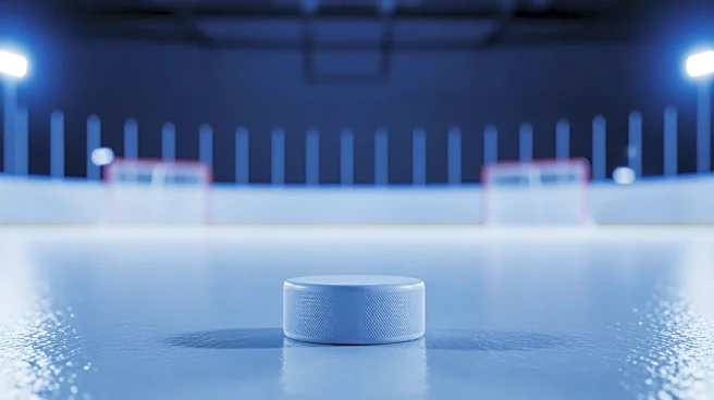 Quinnipiac Women's Ice Hockey Team Faces Defeat Against Clarkson Golden Knights