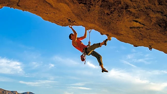 Alex Honnold's Brain Shows No Fear During Extreme Climbing Stunts, Experts Explain